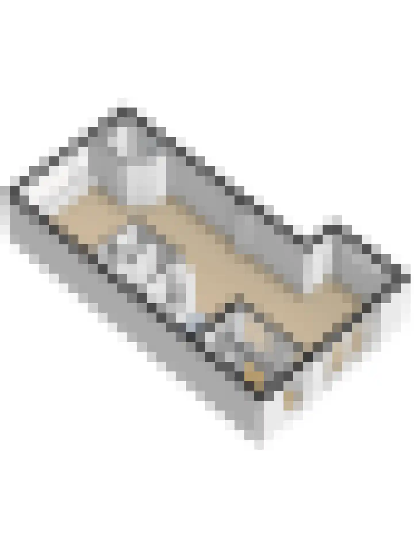 Van Esscheplantsoen 1 Strijen thumbnail 52