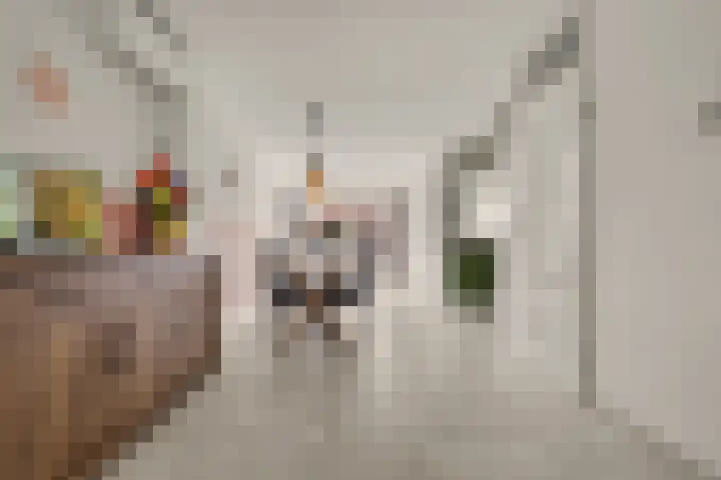 Van Esscheplantsoen 1 Strijen thumbnail 8
