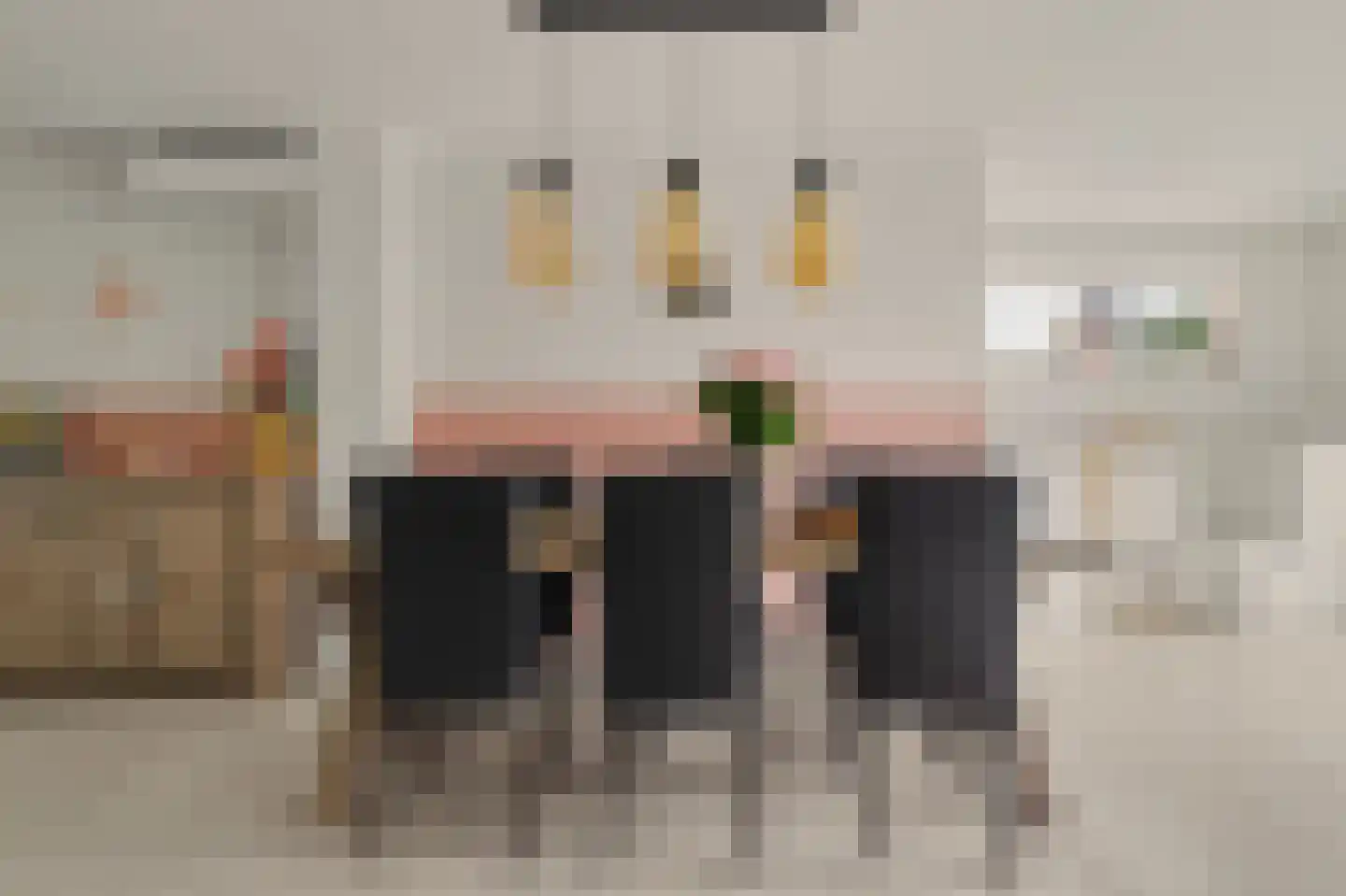 Van Esscheplantsoen 1 Strijen thumbnail 9
