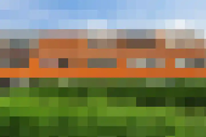 Van Essendijk 113 Den Haag thumbnail 42