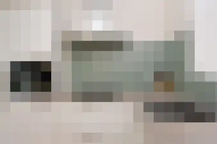 Van Essendijk 149 Den Haag thumbnail 10