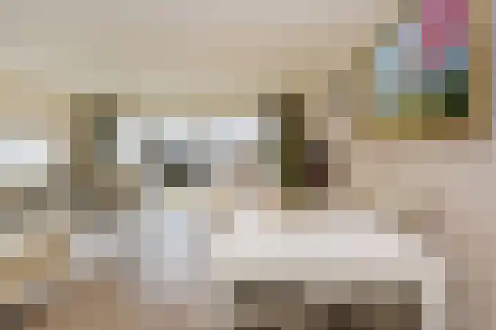 Van Essendijk 149 Den Haag thumbnail 13