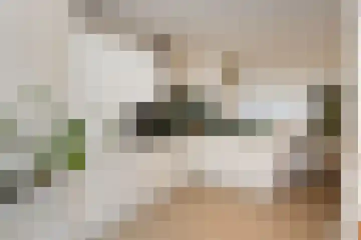 Van Essendijk 149 Den Haag thumbnail 14