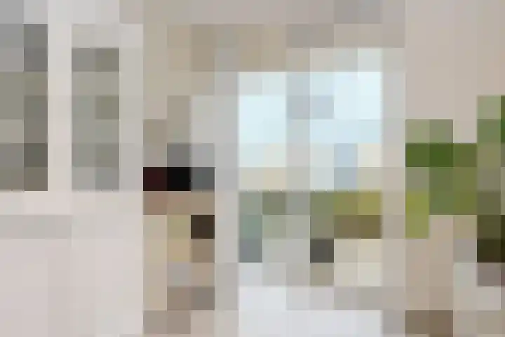 Van Essendijk 149 Den Haag thumbnail 15