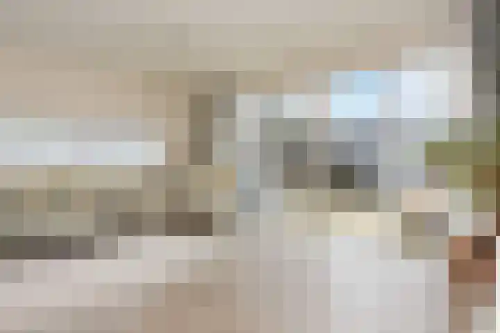 Van Essendijk 149 Den Haag thumbnail 4