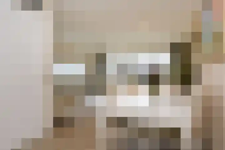 Van Essendijk 149 Den Haag thumbnail 5