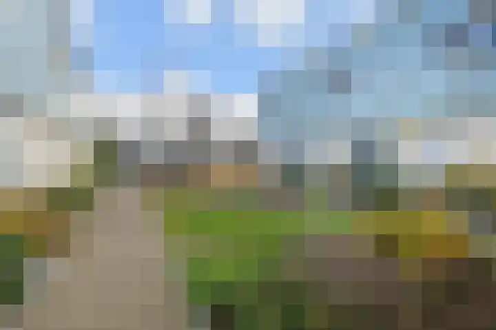 Van Essendijk 149 Den Haag thumbnail 58