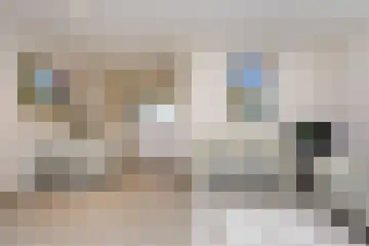 Van Essendijk 149 Den Haag thumbnail 7