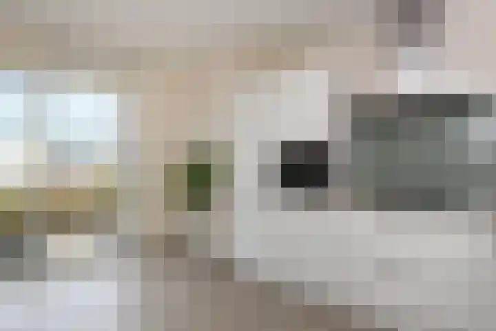 Van Essendijk 149 Den Haag thumbnail 8
