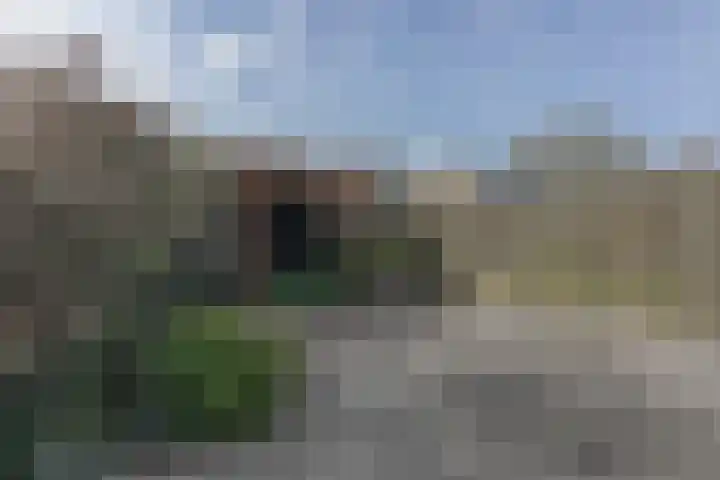 Van Essendijk 149 Den Haag thumbnail 9