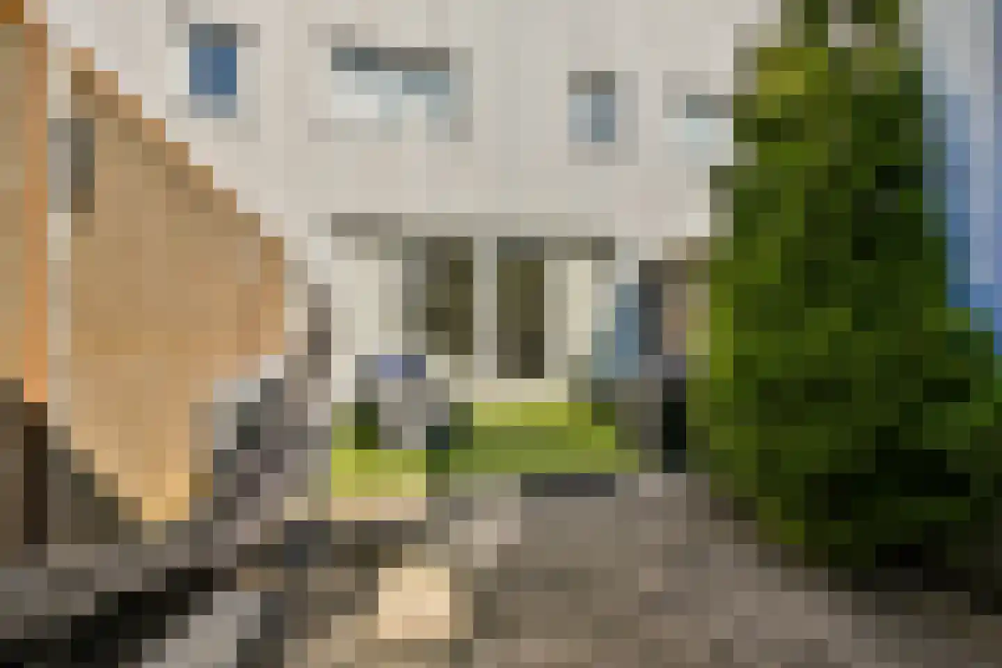 Van Essendijk 163 Den Haag thumbnail 7