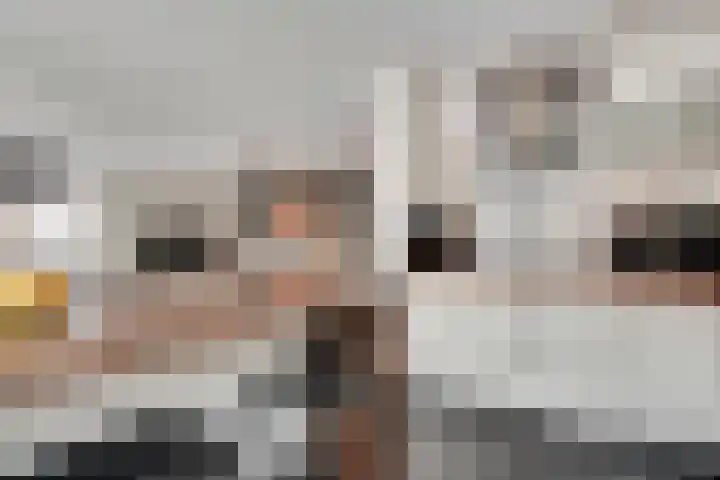 Van Essendijk 187 Den Haag thumbnail 13