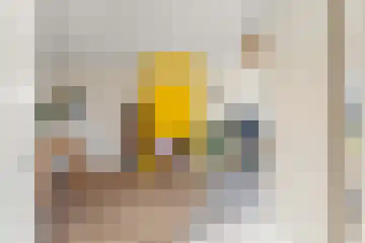 Van Essendijk 187 Den Haag thumbnail 21