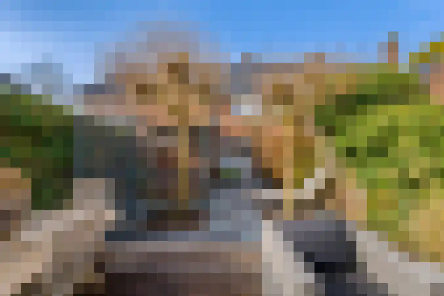 Van Essendijk 187 Den Haag thumbnail 23