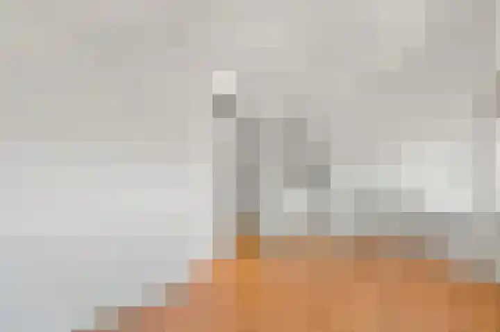 Van Essendijk 187 Den Haag thumbnail 31