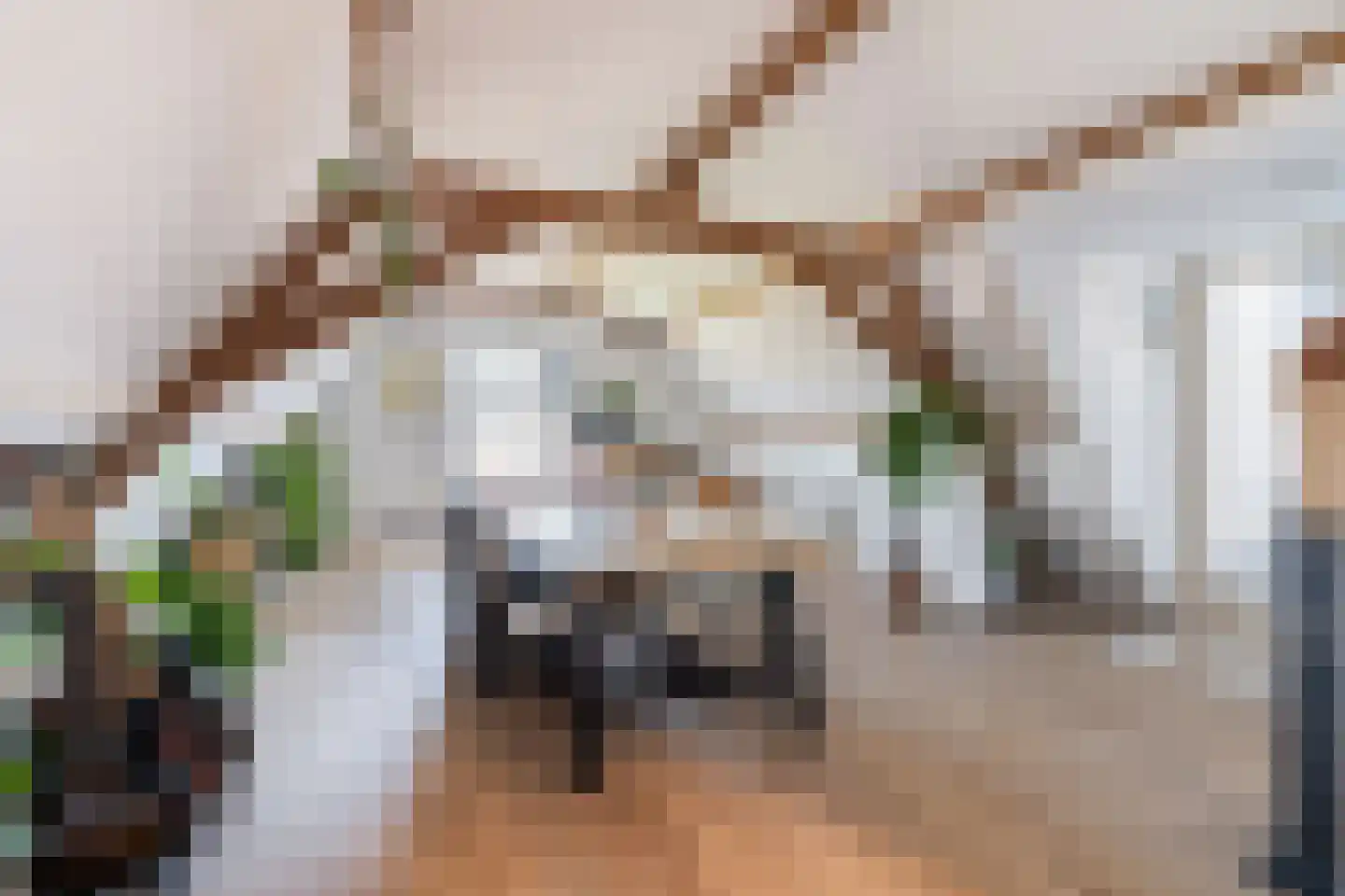 Van Essendijk 187 Den Haag thumbnail 35
