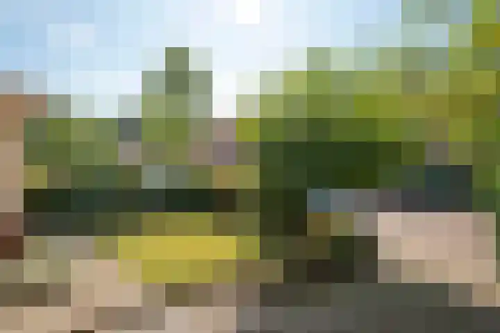 Van Essendijk 187 Den Haag thumbnail 7