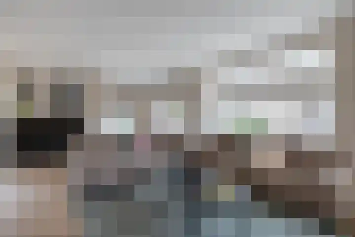 Van Essendijk 187 Den Haag thumbnail 8
