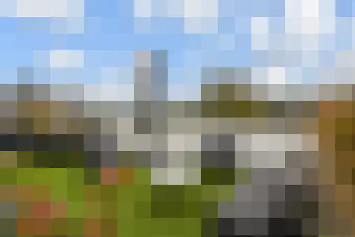 Van Essendijk 199 Den Haag thumbnail 28