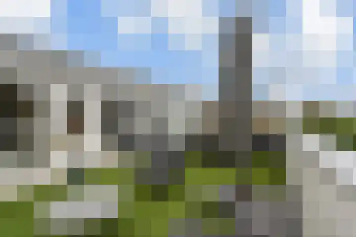 Van Essendijk 199 Den Haag thumbnail 30