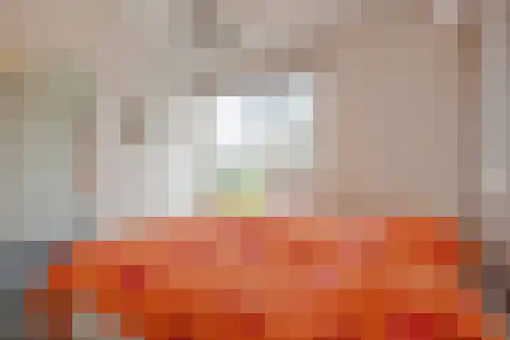 Van Essendijk 199 Den Haag thumbnail 32