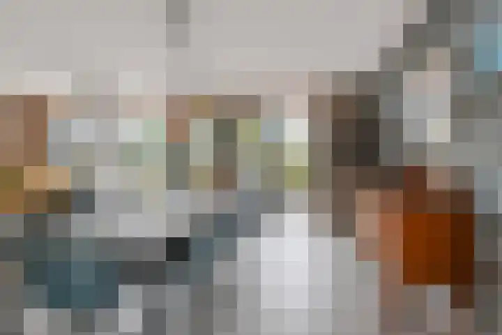 Van Essendijk 199 Den Haag thumbnail 8
