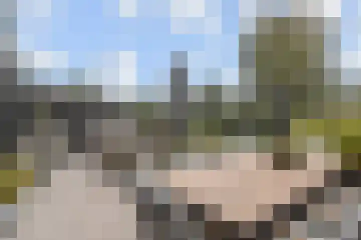 Van Essendijk 199 Den Haag thumbnail 9