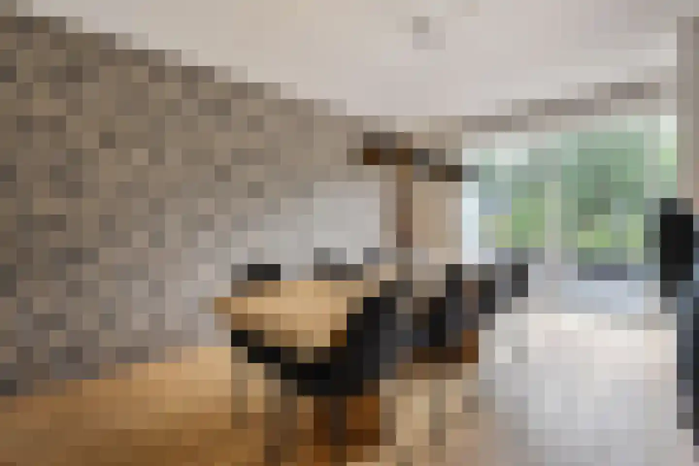 Van Essendijk 215 Den Haag thumbnail 10