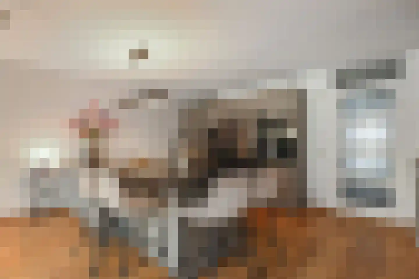 Van Essendijk 215 Den Haag thumbnail 12