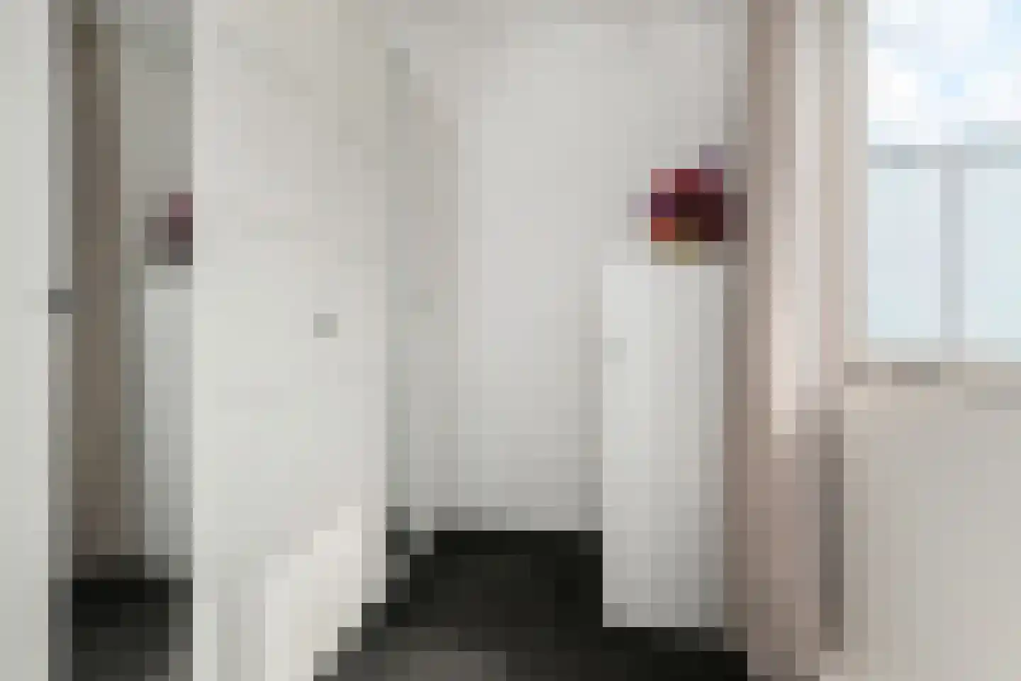 Van Essendijk 215 Den Haag thumbnail 28