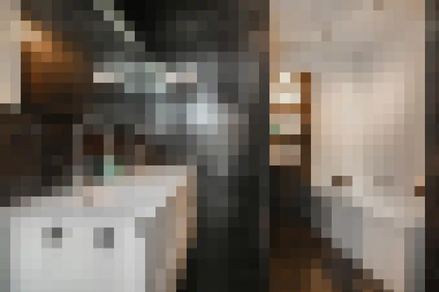 Van Essendijk 215 Den Haag thumbnail 29