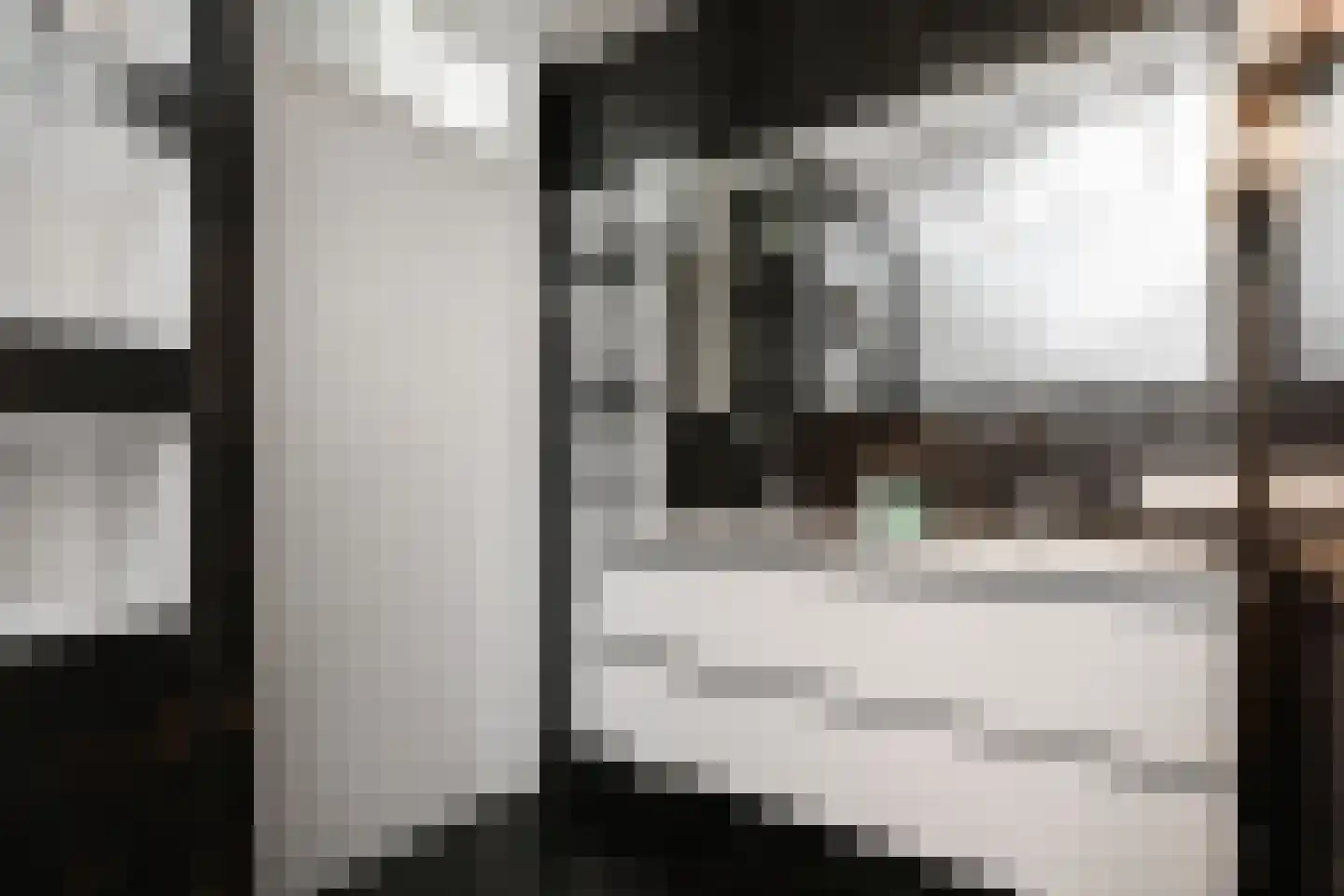 Van Essendijk 215 Den Haag thumbnail 32