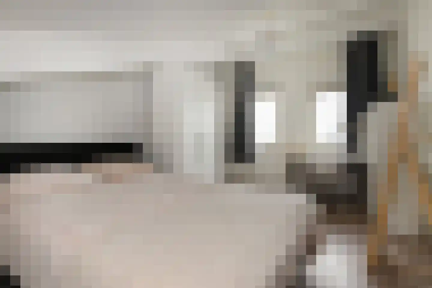 Van Essendijk 215 Den Haag thumbnail 41