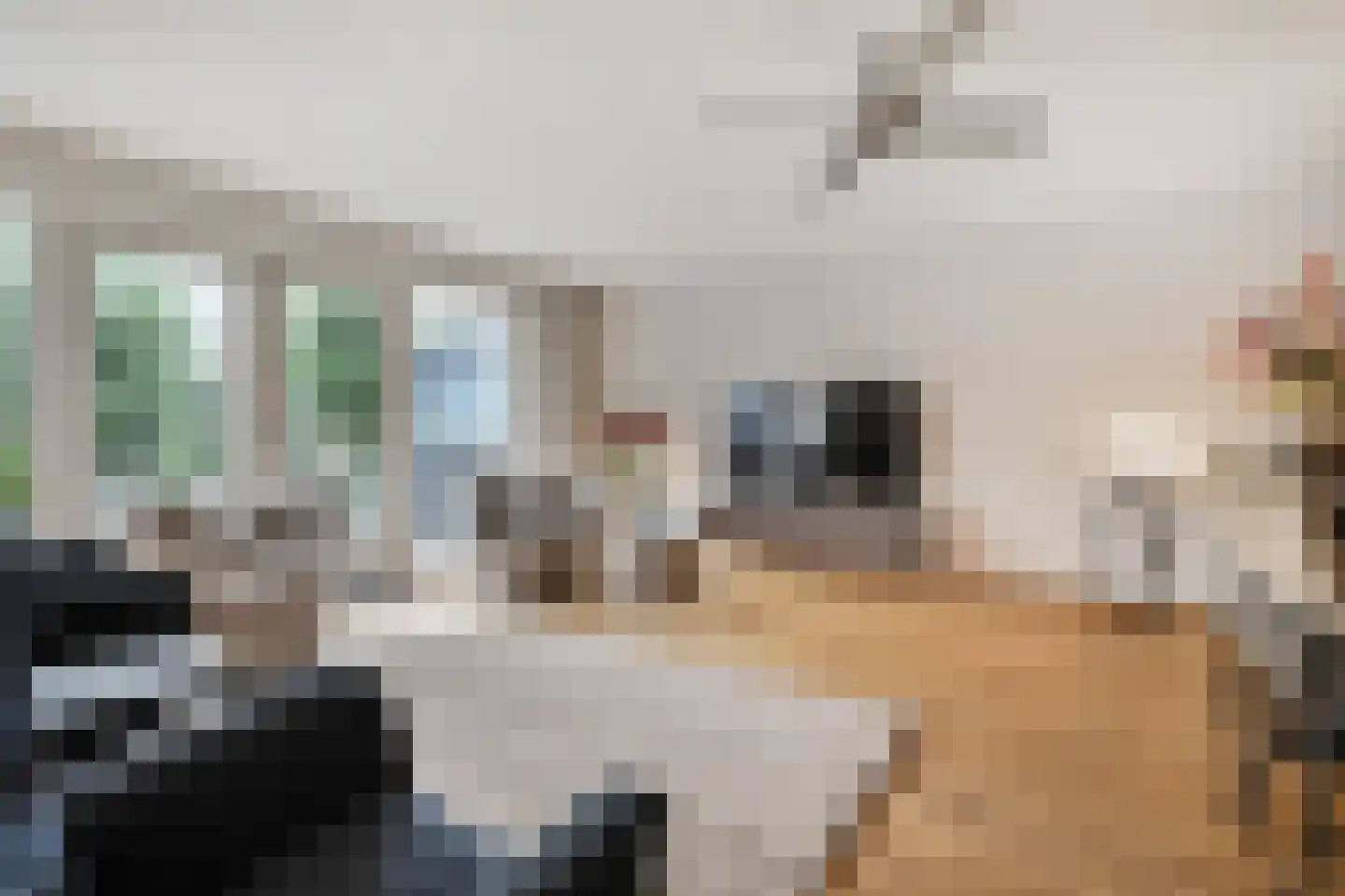 Van Essendijk 215 Den Haag thumbnail 5
