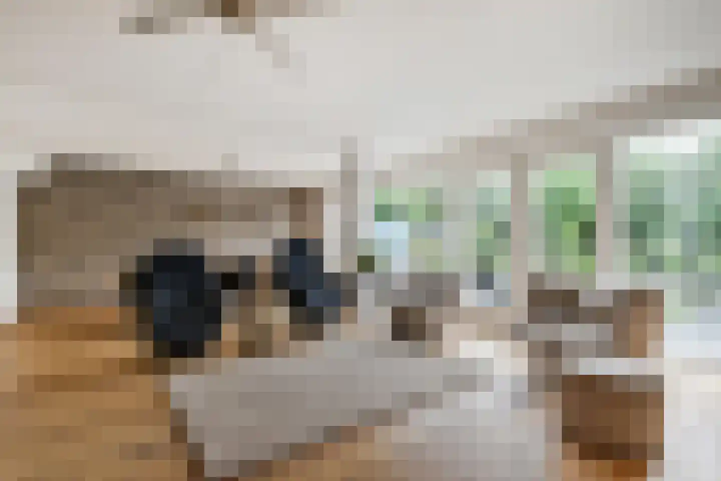 Van Essendijk 215 Den Haag thumbnail 9