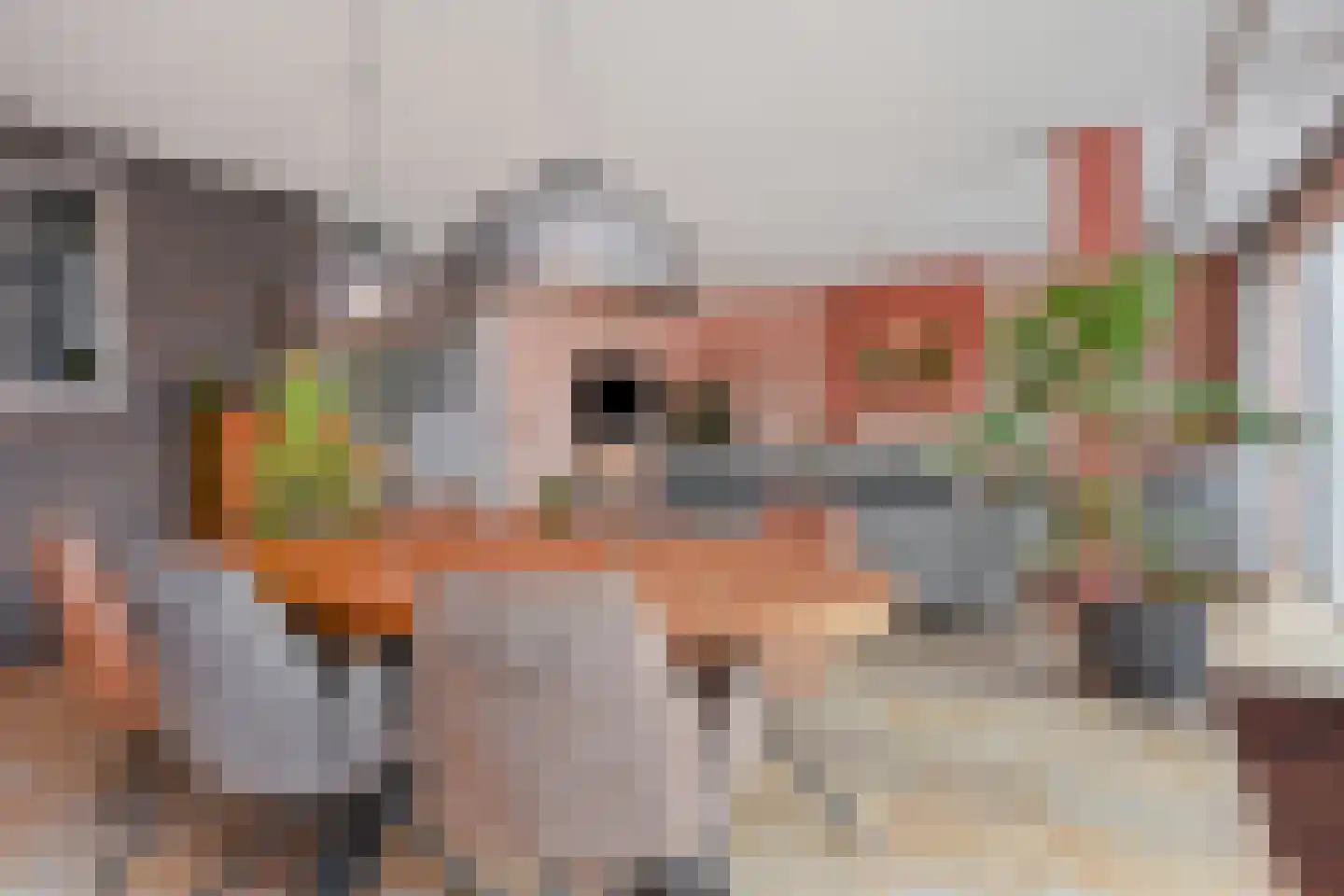 Van Essendijk 217 Den Haag thumbnail 12