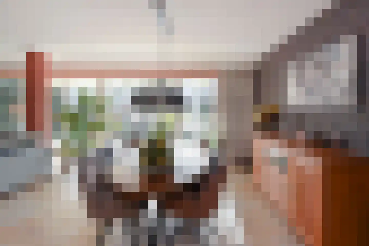 Van Essendijk 217 Den Haag thumbnail 14