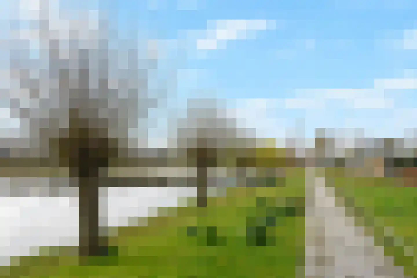 Van Essendijk 217 Den Haag thumbnail 23