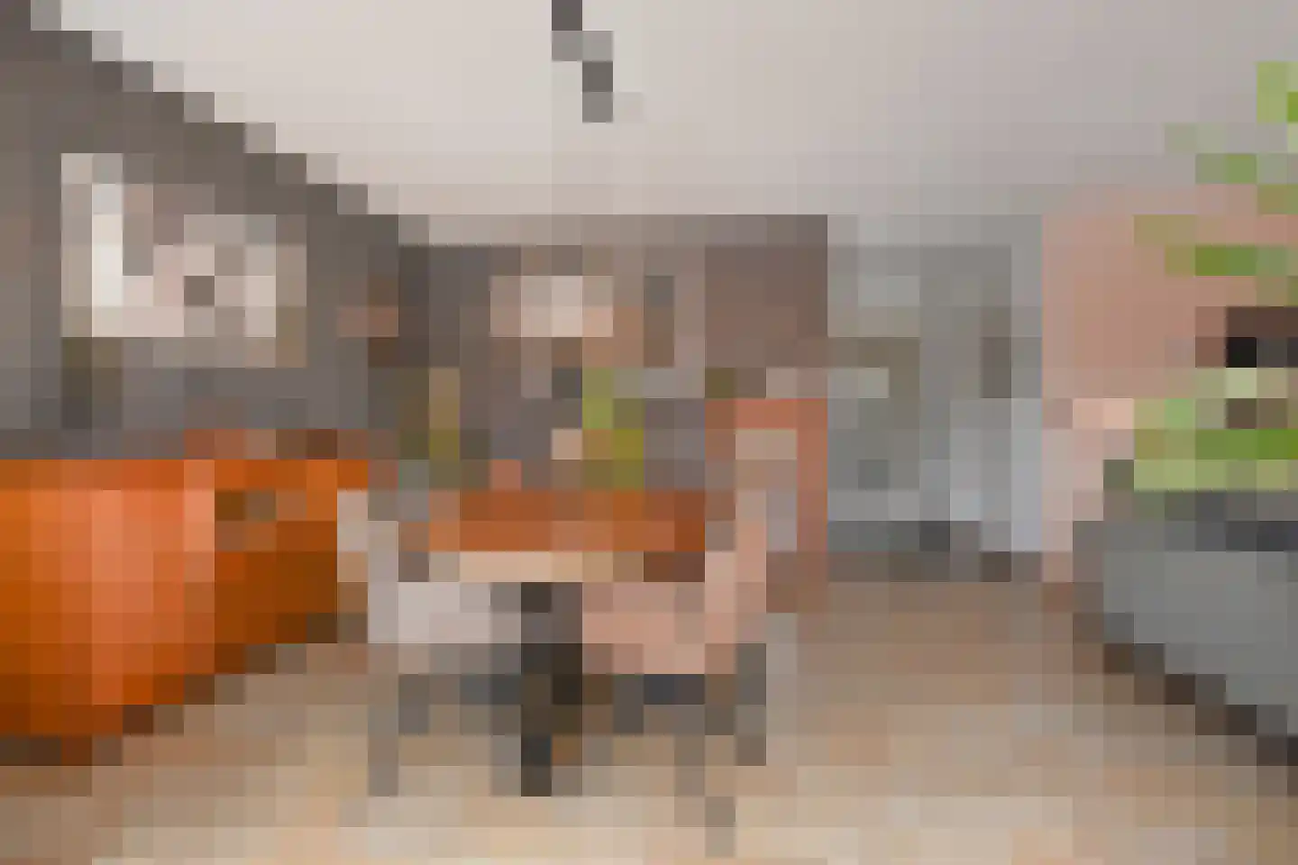 Van Essendijk 217 Den Haag thumbnail 24