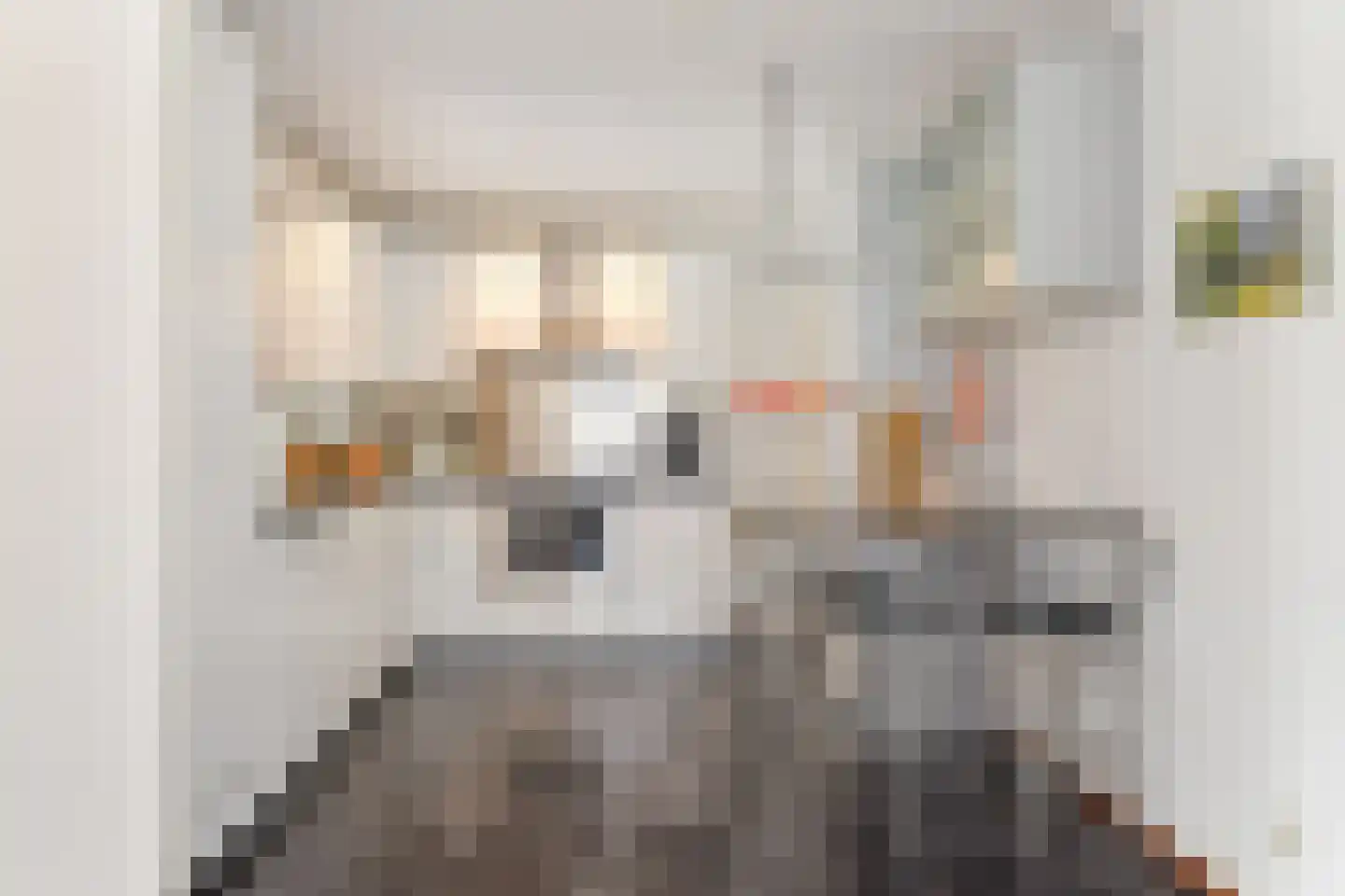 Van Essendijk 217 Den Haag thumbnail 25