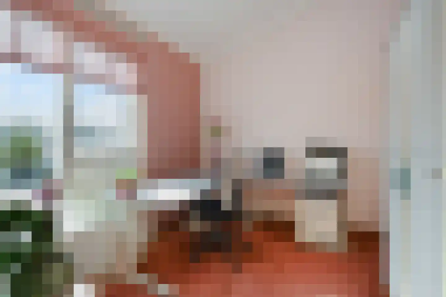 Van Essendijk 217 Den Haag thumbnail 36