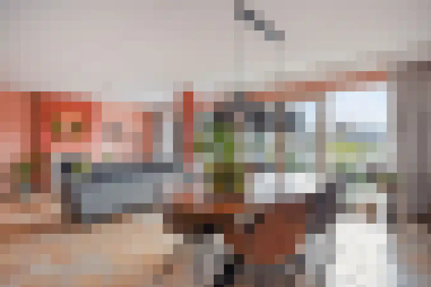 Van Essendijk 217 Den Haag thumbnail 5
