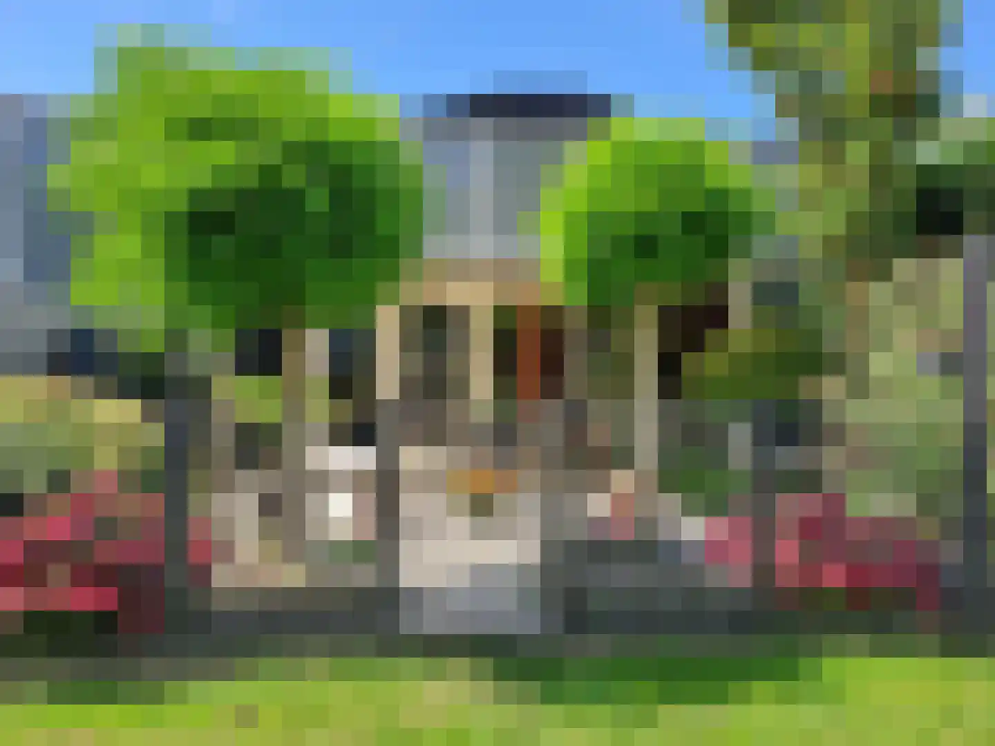 Van Essendijk 217 Den Haag thumbnail 50