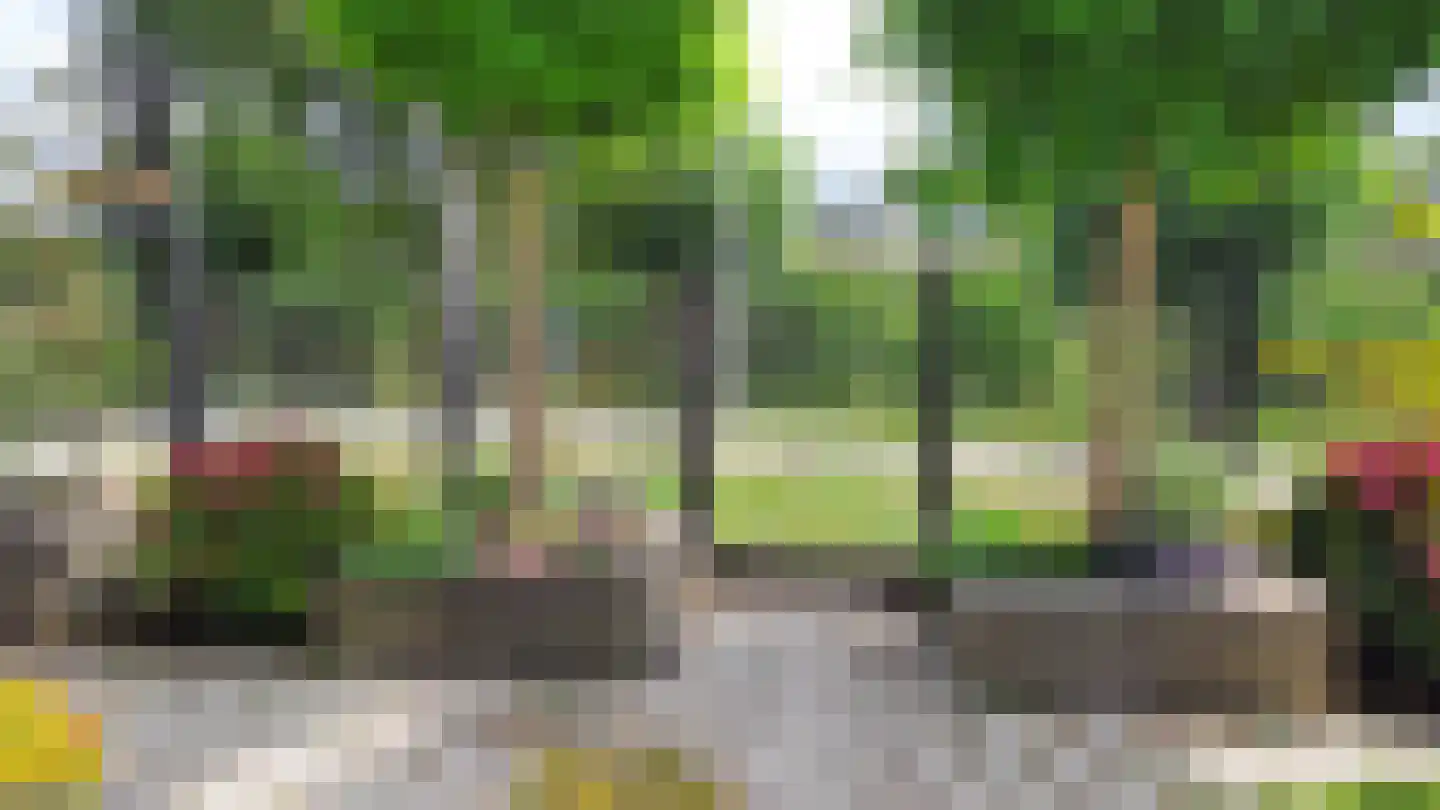 Van Essendijk 217 Den Haag thumbnail 54