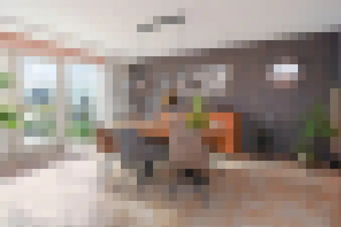 Van Essendijk 217 Den Haag thumbnail 6