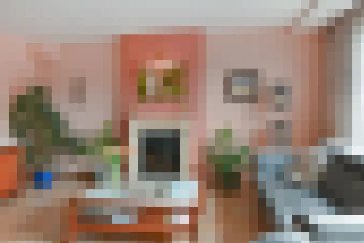 Van Essendijk 217 Den Haag thumbnail 8