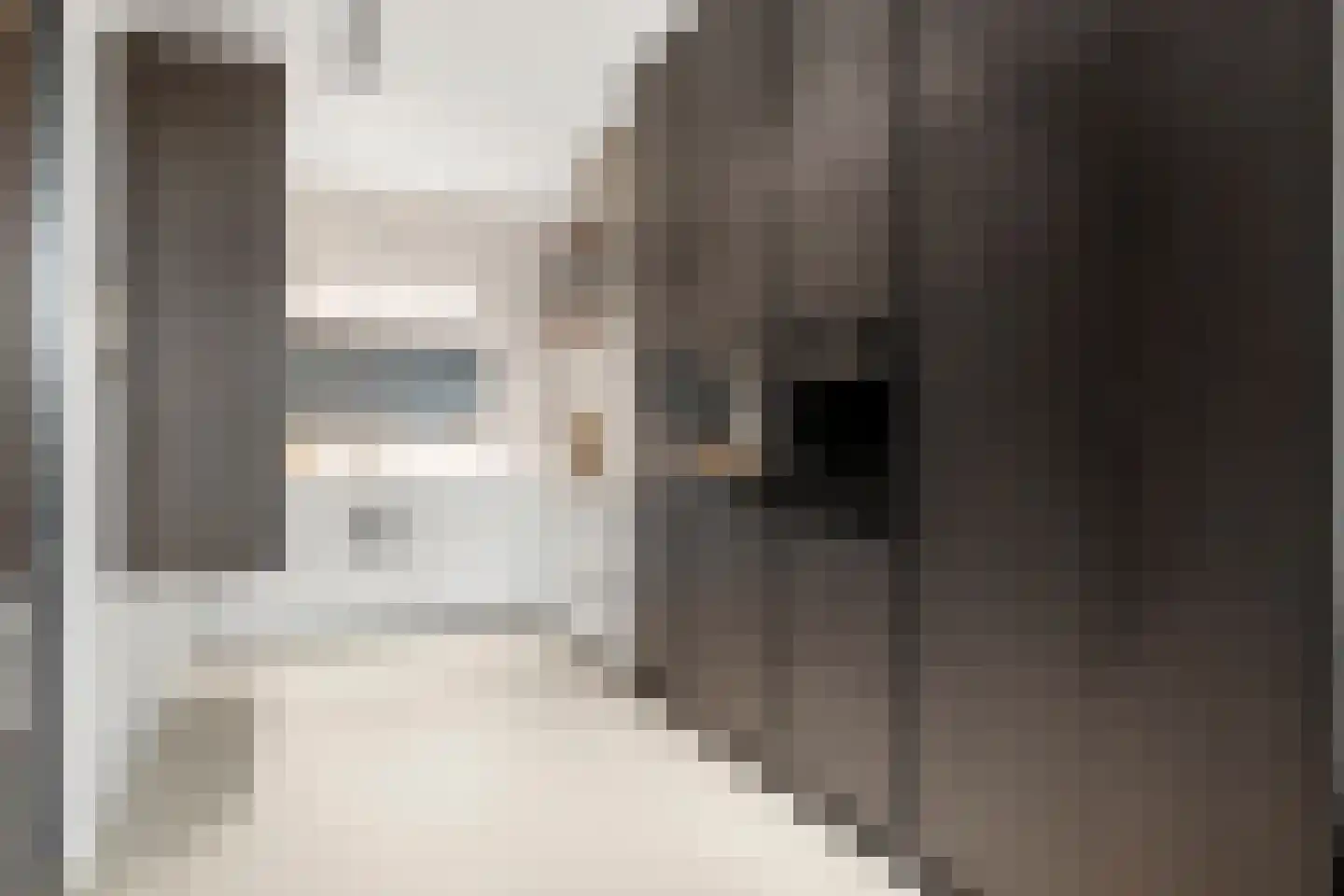 Van Essenkwartier 51 Ede thumbnail 17