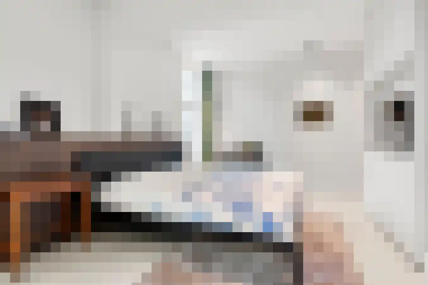 Van Essenkwartier 51 Ede thumbnail 27