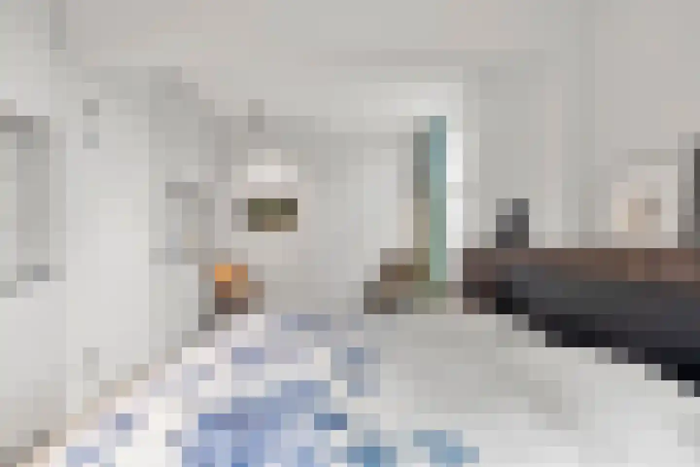 Van Essenkwartier 51 Ede thumbnail 29