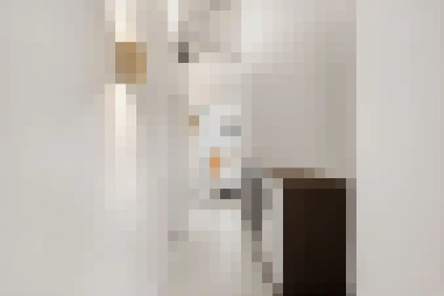 Van Essenkwartier 51 Ede thumbnail 41